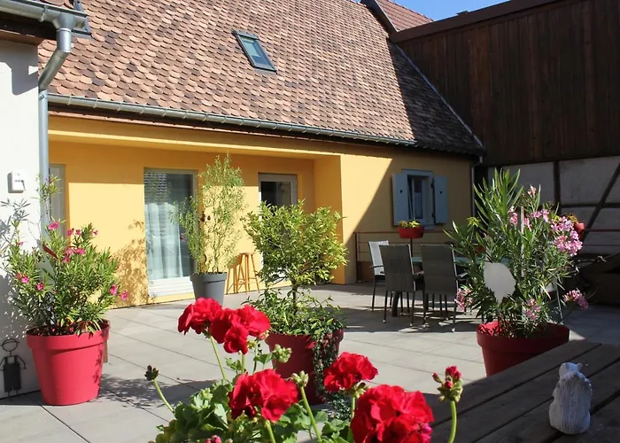 Gîte Le Cep d\'Or Alsace
