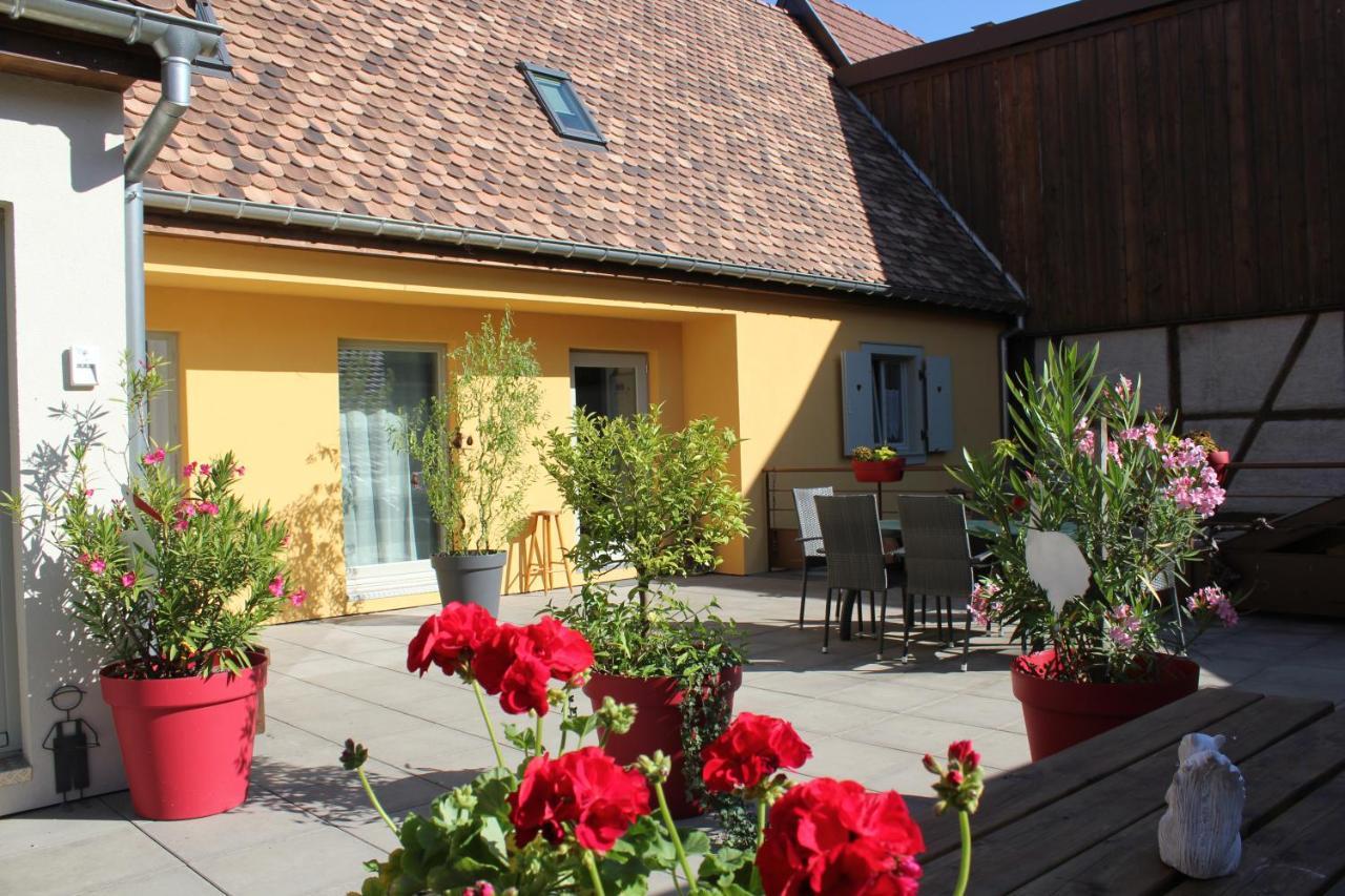 Appartement Le Cep D'or Alsace